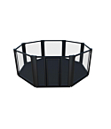 MMA cage TOP TEN