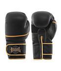 Boxing gloves Royal Pro 1 black
