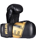 Boxing gloves Top Ten 30 Years Edition