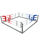 Training ring TOP TEN