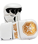 Top Ten MMA sparring gloves Contender white, gold