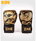 Boxing gloves Venum Dragon's Flight Kids black, bronze