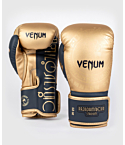 Boxing gloves Venum x Rajadamnern sand